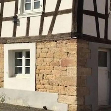 Petit Studio Pour Une Personne A Lobsann Exteriér fotografie
